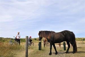 Vlieland