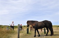 Vlieland, Vlieland