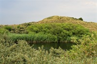 Waterleidingduinen