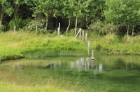 Waterleidingduinen