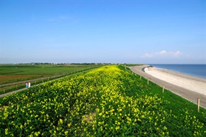 Texel - Lanchesterdijk