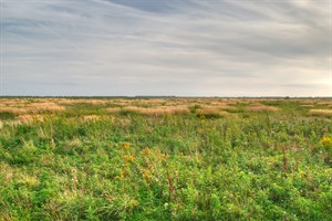 Tiengemeten