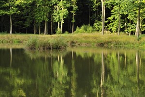 Natuurgebied Gorp de Leij