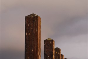 Maasvlakte Rotterdam