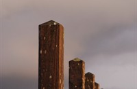 Maasvlakte Rotterdam, Maasvlakte