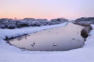 Waterleidingduinen