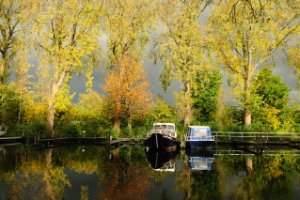 Herfst Foto  Rotterdam Kralingen