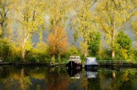 Herfst Foto  Rotterdam Kralingen