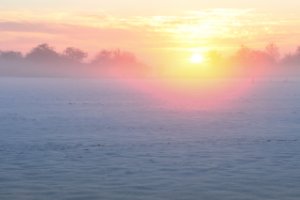 Amerongse bovenpolder op een mistige ochtend