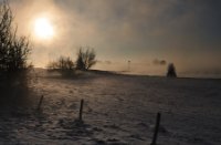 Amerongse bovenpolder op een mistige ochtend, Amerongse Bovenpolder