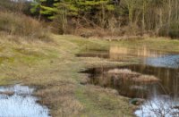 Natuurgebied Breede Water in de Duinen van Voorne, Natuurgebied Breede Water in de Duinen van Voorne