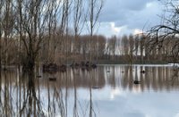 Natuurgebied De Ruigte, Natuurgebied De Ruigte, Natuurgebied De Ruigte