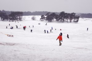 Nationaal Park Loonse en Drunense Duinen