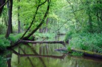 Kampina - Brabant, Kampina