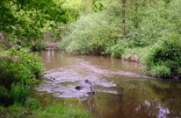 Kampina - Brabant, Kampina