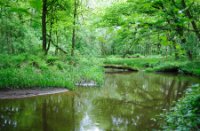 Kampina - Brabant, Kampina