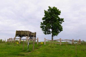 Kampina - Brabant