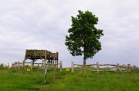 Kampina - Brabant, Kampina