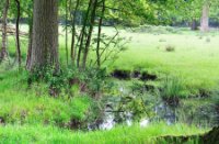 Kampina - Brabant, Kampina