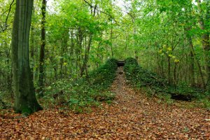 Staelduinsebos