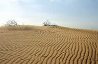 Loonse Drunense duinen - Brabantse Woestijn, Loonse Drunense duinen