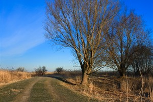 Oostvaardersplassen