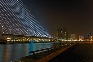 rotterdam