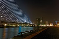 rotterdam, rotterdam, rotterdam