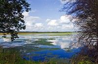 Brabantse Biesbosch vogelreservaat , Brabantse Biesbosch, Brabantse Biesbosch