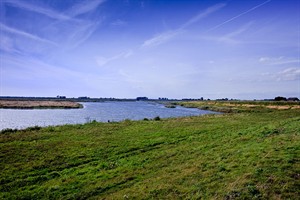 landschap