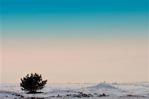 Hoge Veluwe