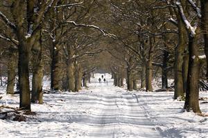 Hoge Veluwe