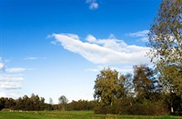 landschap, Natuurgebied Loetbos, Natuurgebied Loetbos