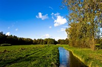 landschap, Natuurgebied Loetbos, Natuurgebied Loetbos