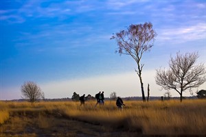 Hollandgroen fotograven op pad in het beekdal van de rul