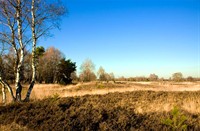 landschap, Strabrechtseheide, Strabrechtseheide