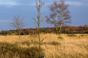 Na lange wandeltocht, is er een uitrust plaats