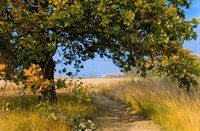 wandelpad , Bargerveen, Bargerveen