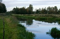 landschap, Dal van de Groote Beerze, Dal van de Groote Beerze