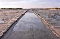 strand, Natuurgebied Breede Water in de Duinen van VoorneNatuurgebied Breede Water in de Duinen van Voorne, Natuurgebied Breede Water in de Duinen van Voorne