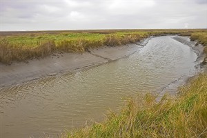 Verdronken Land van Saefthinghe