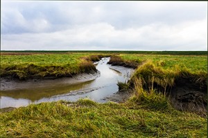 Verdronken Land van Saefthinghe