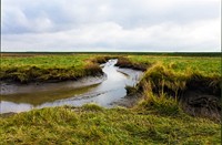 Verdronken Land van Saefthinghe