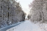 winter, Natuurgebied Loetbos, Natuurgebied Loetbos