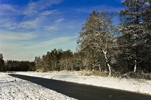 landschap