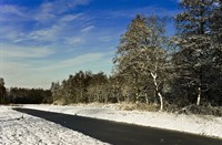 landschap, Natuurgebied Loetbos, Natuurgebied Loetbos