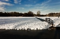 landschap, Natuurgebied Loetbos, Natuurgebied Loetbos