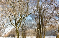 landschap, Natuurgebied Loetbos, Natuurgebied Loetbos