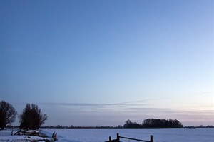 landschap winter