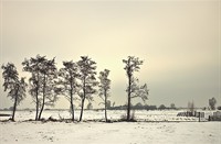 sneeuw, Boezems Kinderdijk, Boezems Kinderdijk